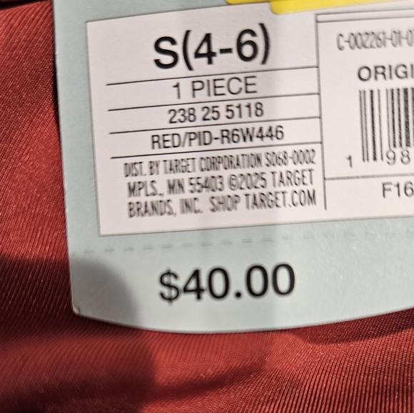 (09)Rust One-Piece Swimsuit with Subtle Ruched Bust - Picture 5 of 5